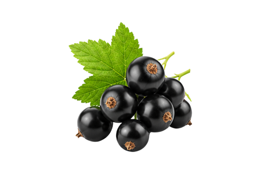 Blackcurrant