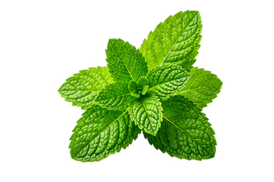 Mint
