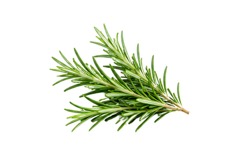 Rosemary
