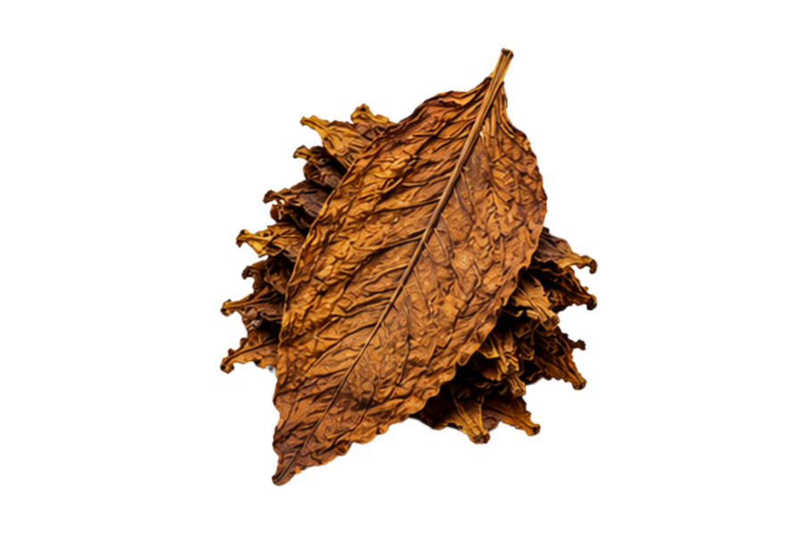 Tobacco Leaf
