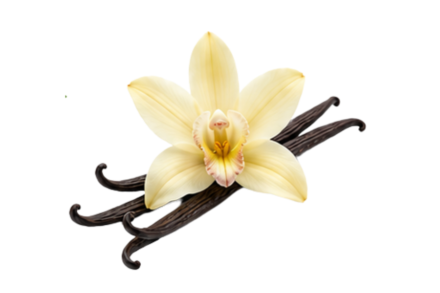 Vanilla
